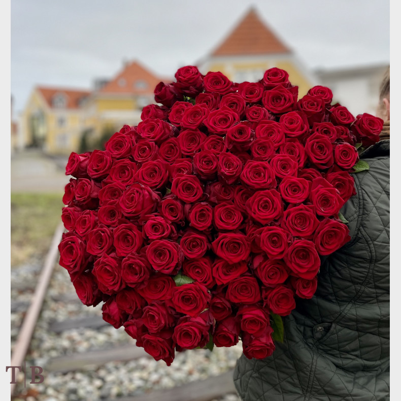 Rde roser - langstilket 